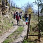 Trekking